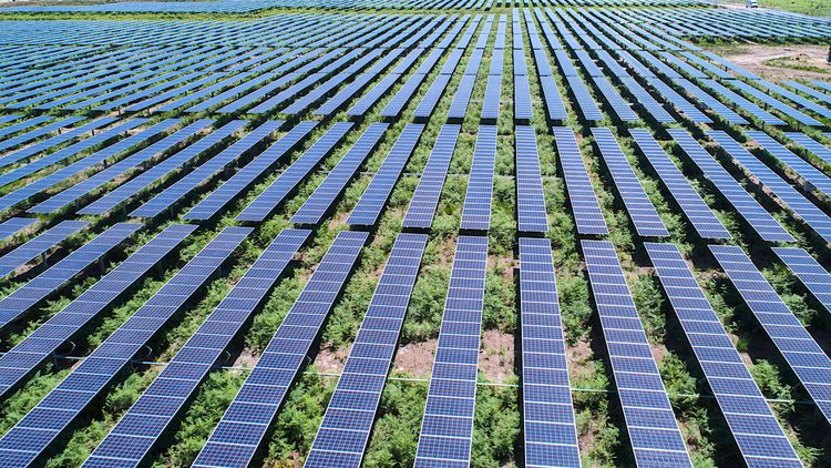 RENOUVELABLE – Rion-des-Landes ouvre une nouvelle centrale solaire
